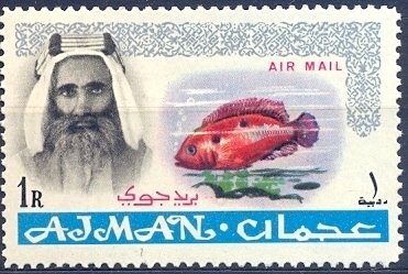 Sheik Rashid and African Jewelfish (Hemichromis bimaculatus)