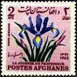 Iris