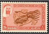 Cuttlefish