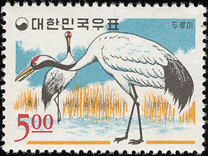 Red-crowned Crane (Grus japonensis)