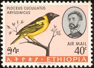 Stamp, Abessynian Village Weaver (Ploceus cucullatus abyssinicus), Ethiopia,  , Birds, Animals (Fauna)