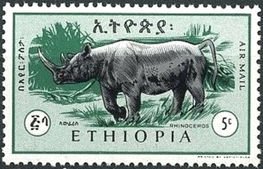 Black Rhinoceros (Diceros bicornis)