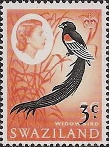 Stamp, Long-tailed Widowbird (Euplectes progne), Swaziland,  , Birds