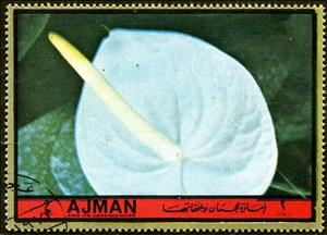 Stamp, Anthurium, Ajman,  , Flowers