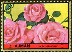 Stamp, Pink peace, Ajman,  , Flowers, Roses