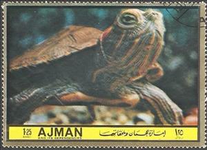 Stamp, Pseudemys scripta elegans, Ajman,  , Reptiles, Turtles, Animals (Fauna)