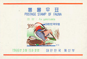 Mandarin Duck (Aix galericulata)