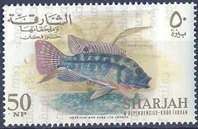 Stamp, Emperor Angelfish (Pomacanthus imperator) - Juvenile, Sharjah,  , Fishes