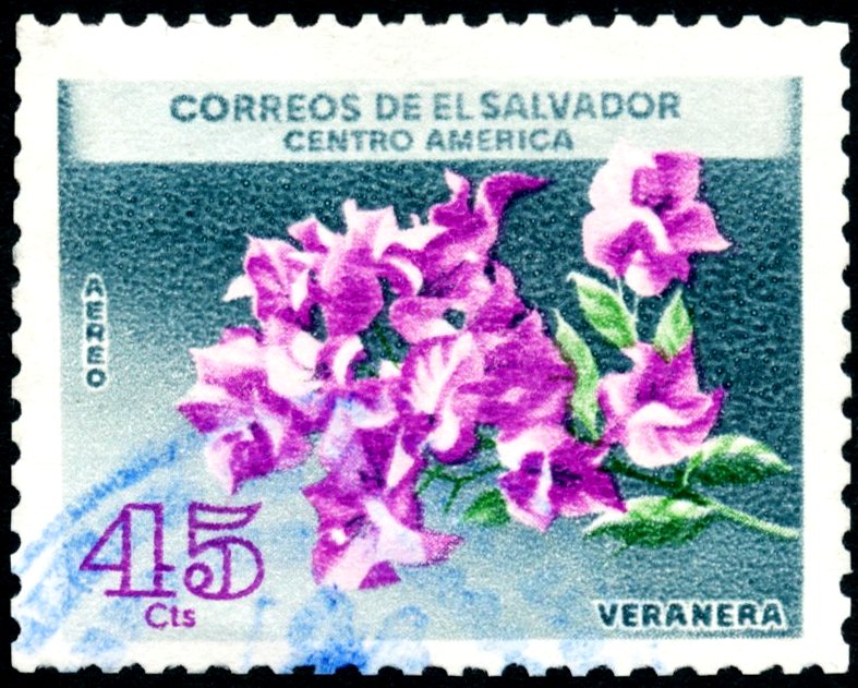 Veranera