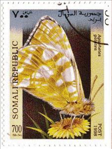 Stamp, Agaphetes galatea, Cinderellas,  , Butterflies