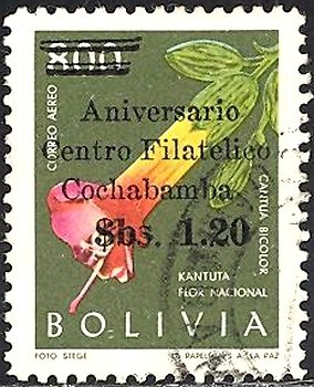 Cantua bicolor