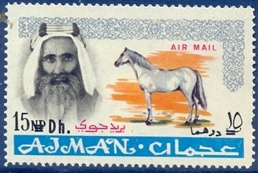 Sheik Rashid and Arabian Horse (Equus ferus caballus)