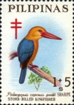 Stork-billed kingfisher (Pelargopsis capensis)