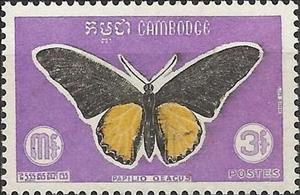 Stamp, Golden Birdwing (Troides aeacus), Cambodia,  , Butterflies