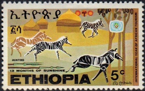 Zebra