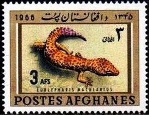 Stamp, Leopard Gecko (Eublepharis macularius), Afghanistan,  , Reptiles, Animals (Fauna)