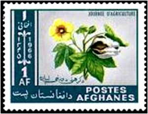 Stamp, Gossypium herbaceum, Afghanistan,  , Flowers