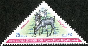 Stamp, Goat (Capra hircus), Yemen,  