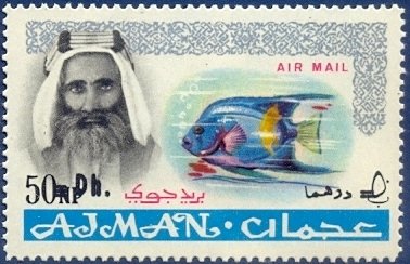 Sheik Rashid and Queen Angelfish (Holacanthus ciliaris)