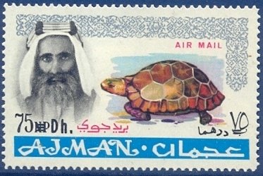 Sheik Rashid and Spur-thighed Tortoise (Testudo graeca)