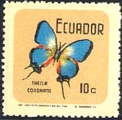 Crowned Hairstreak (Thecla coronata)