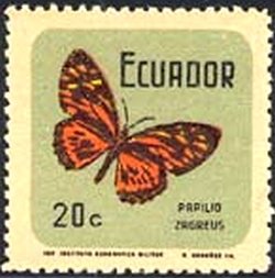 Stamp, (Papilio zagreus), Ecuador,  , Butterflies