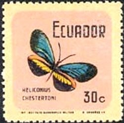 (Heliconius erato chestertoni)