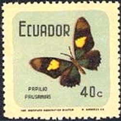 Swallowtail (Papilio pausanias)