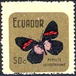 (Peruete leucodrosime)