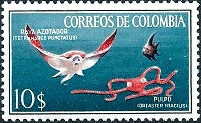 Stamp, Bat Ray (Tetranarce punctatus), Brittle Starfish (Oreaster f, Colombia,  , Sea Life, Animals (Fauna), Fishes