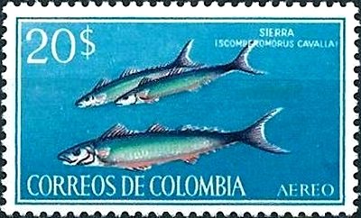 Stamp, King Mackerel (Scomberomorus cavalla), Colombia,  , Animals (Fauna), Fishes