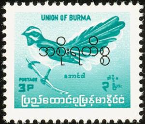 Stamp, White-browed Fantail (Rhipidura aureola), Myanmar,  , Birds