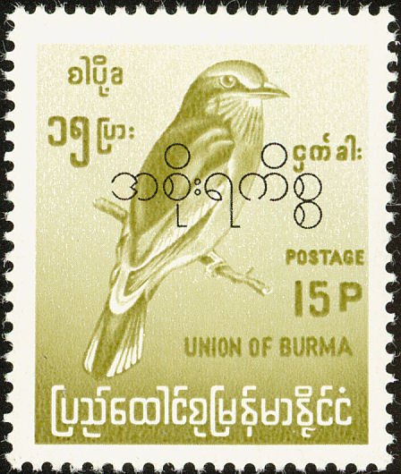 Indian Roller (Coracias benghalensis)