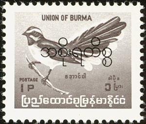 Stamp, White-browed Fantail (Rhipidura aureola), Myanmar,  , Birds