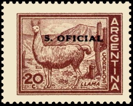 Llama (Lama glama)