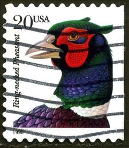 Stamp, Ring-necked Pheasant (Phasianus colchicus torquatus), United States of America,  , Birds, Pheasants, Animals (Fauna)