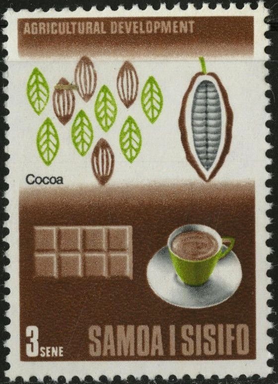 Theobroma cacao