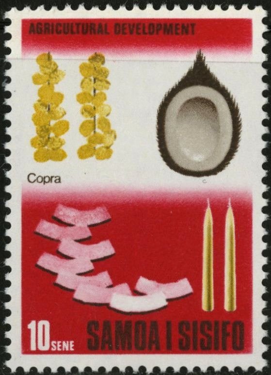 Cocos nucifera