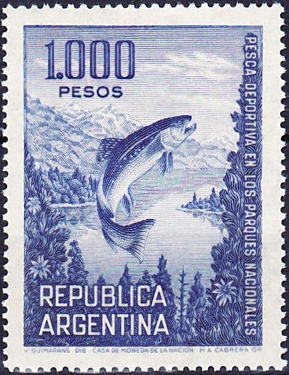 Brown Trout (Salmo trutta)