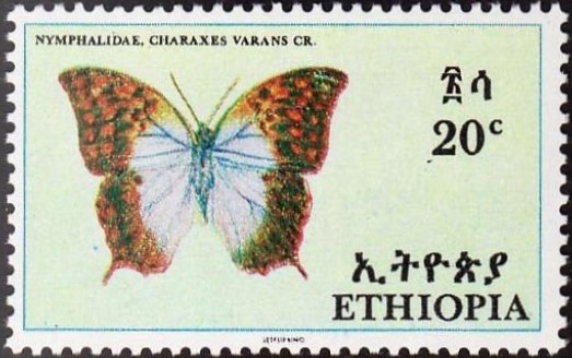 Pearl Emperor (Charaxes varanes)