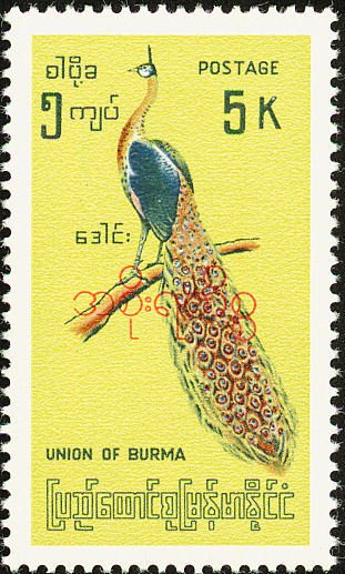 Green Peafowl (Pavo muticus)