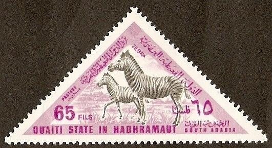 Zebra (Equus zebra sp.)