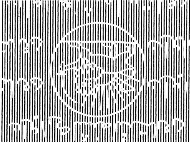 Emblem of the organization, "Red Lion"