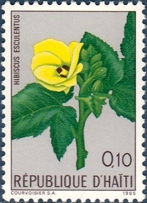 Hibiscus esculentus