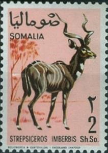 Stamp, Lesser Kudu (Strepsiceros imberbis), Somalia,  , Mammals, Antelopes, Animals (Fauna)