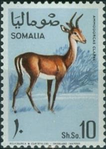 Stamp, Clarke's gazelle (Amodorcas clarkei), Somalia,  