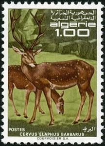 Stamp, Barbary Stag (Cervus elaphus barbarus), Algeria,  , Animals (Fauna)
