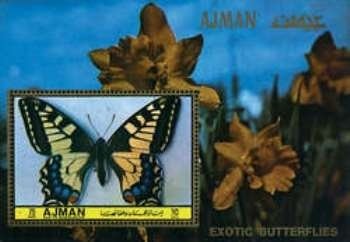 Papilio machaon