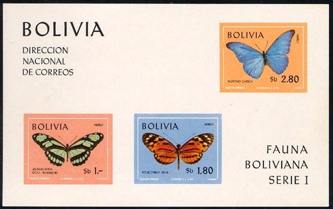 Butterflies