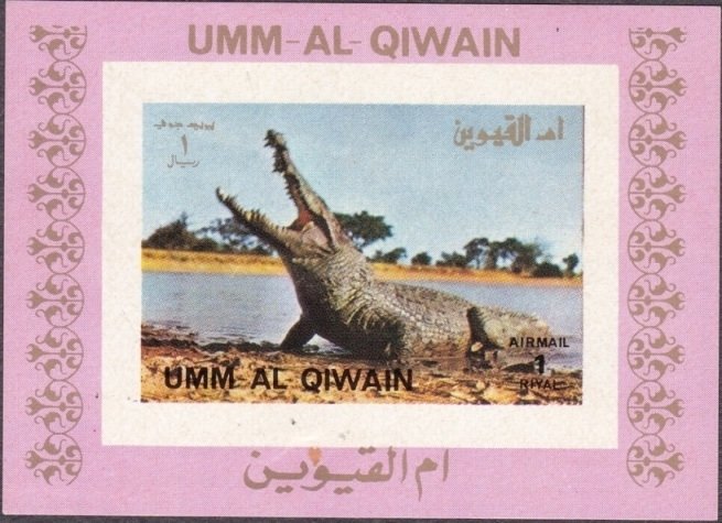 Nile Crocodile (Crocodylus niloticus)